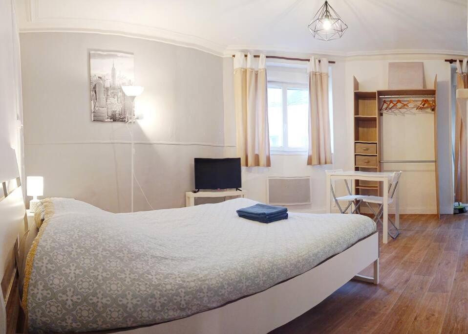 Appartement Gare & Centre Wifi - Proche Tramway Le Mans Eksteriør billede